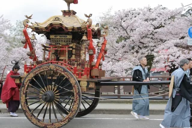 大聖寺の桜まつり — 町をめぐる山車
