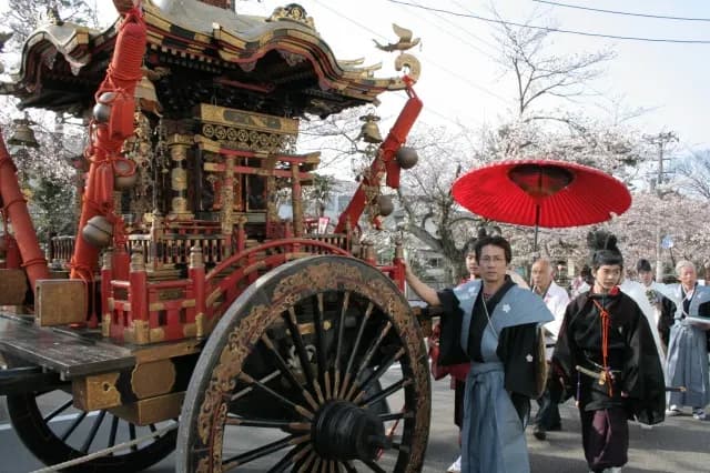 大聖寺の桜まつり — 桜並木と山車