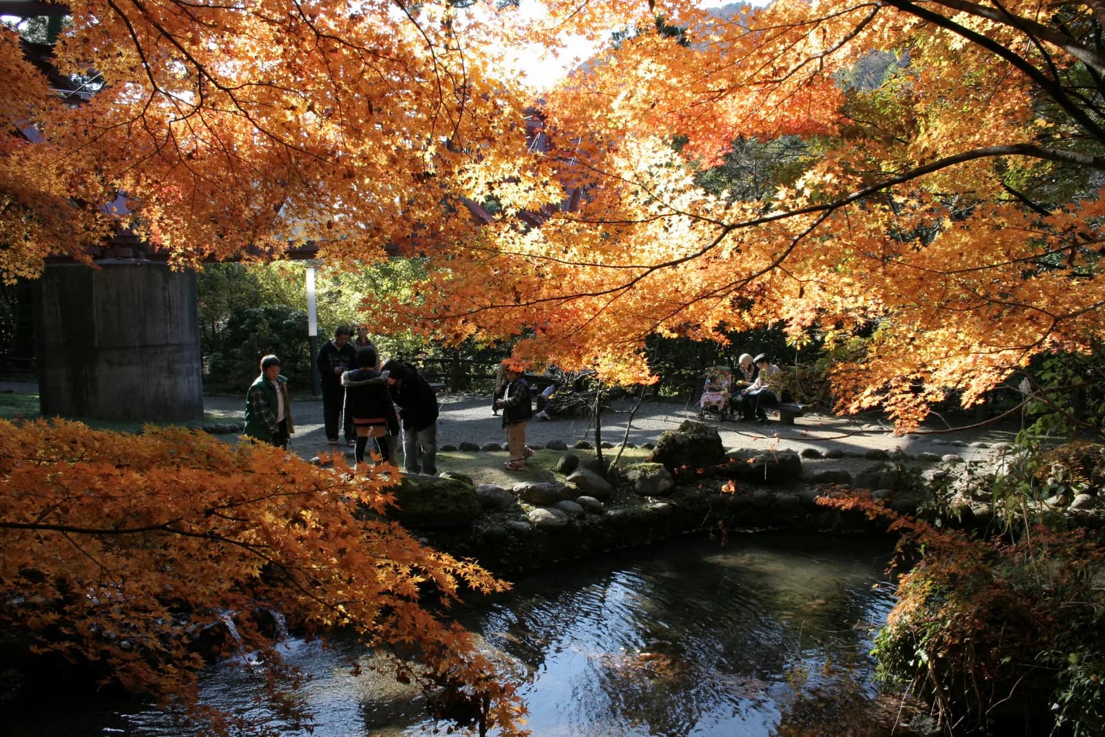 鶴仙渓の紅葉