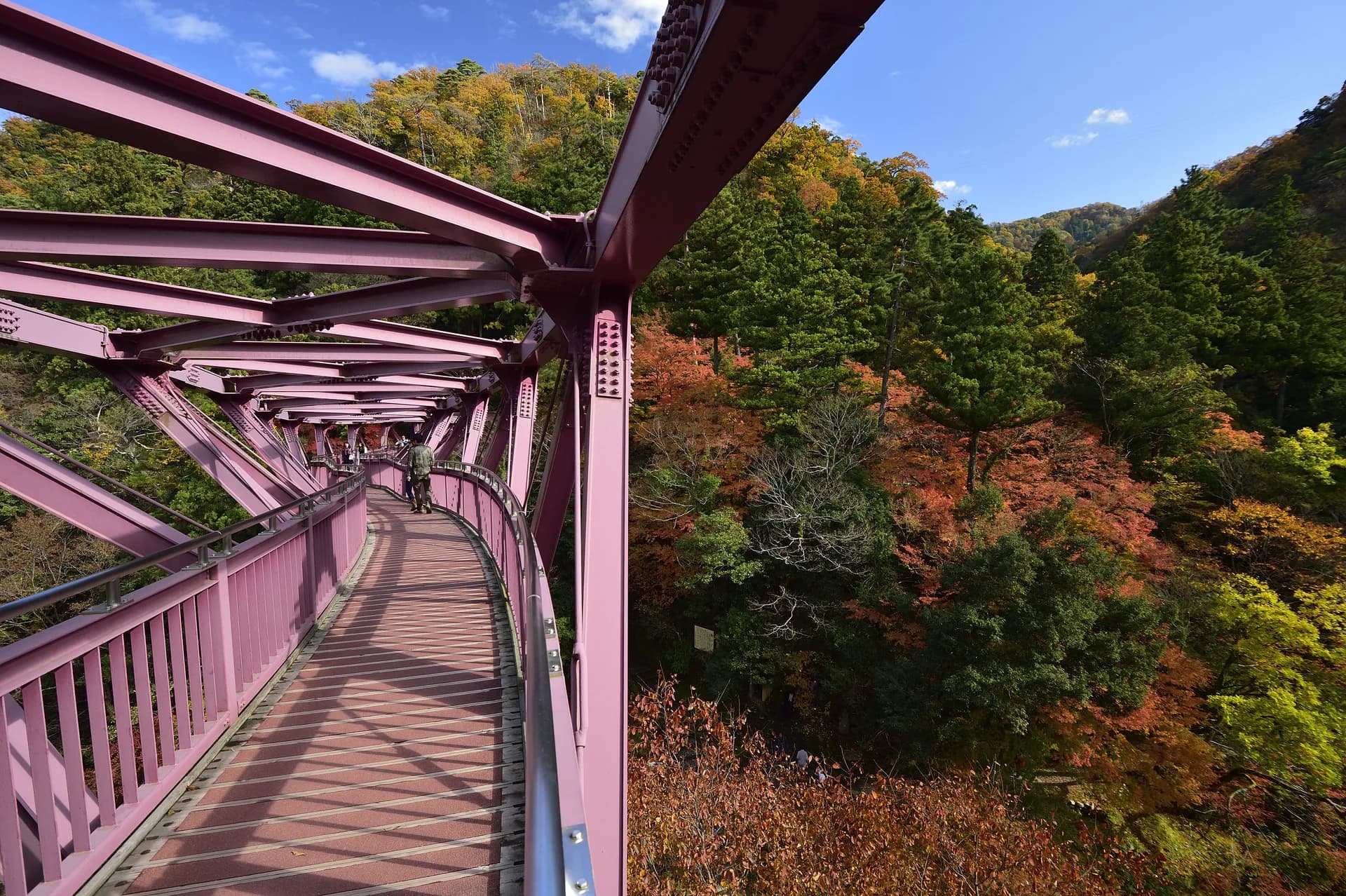 山中温泉 あやとりはし 紅葉
