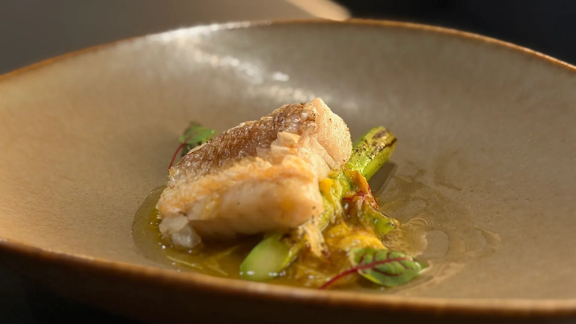 Pan-seared white fish with grilled asparagus, a light sauce and herbs