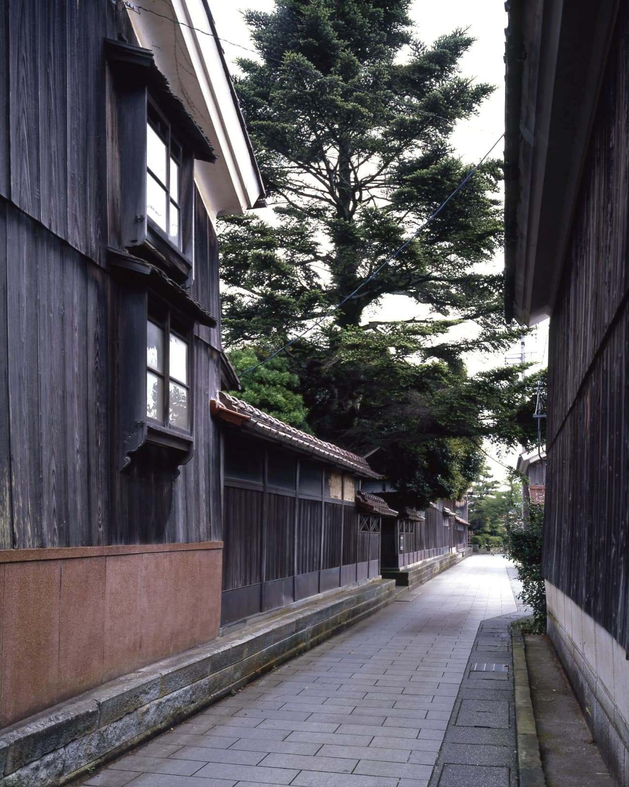 杉の大木が見える橋立の細路地
