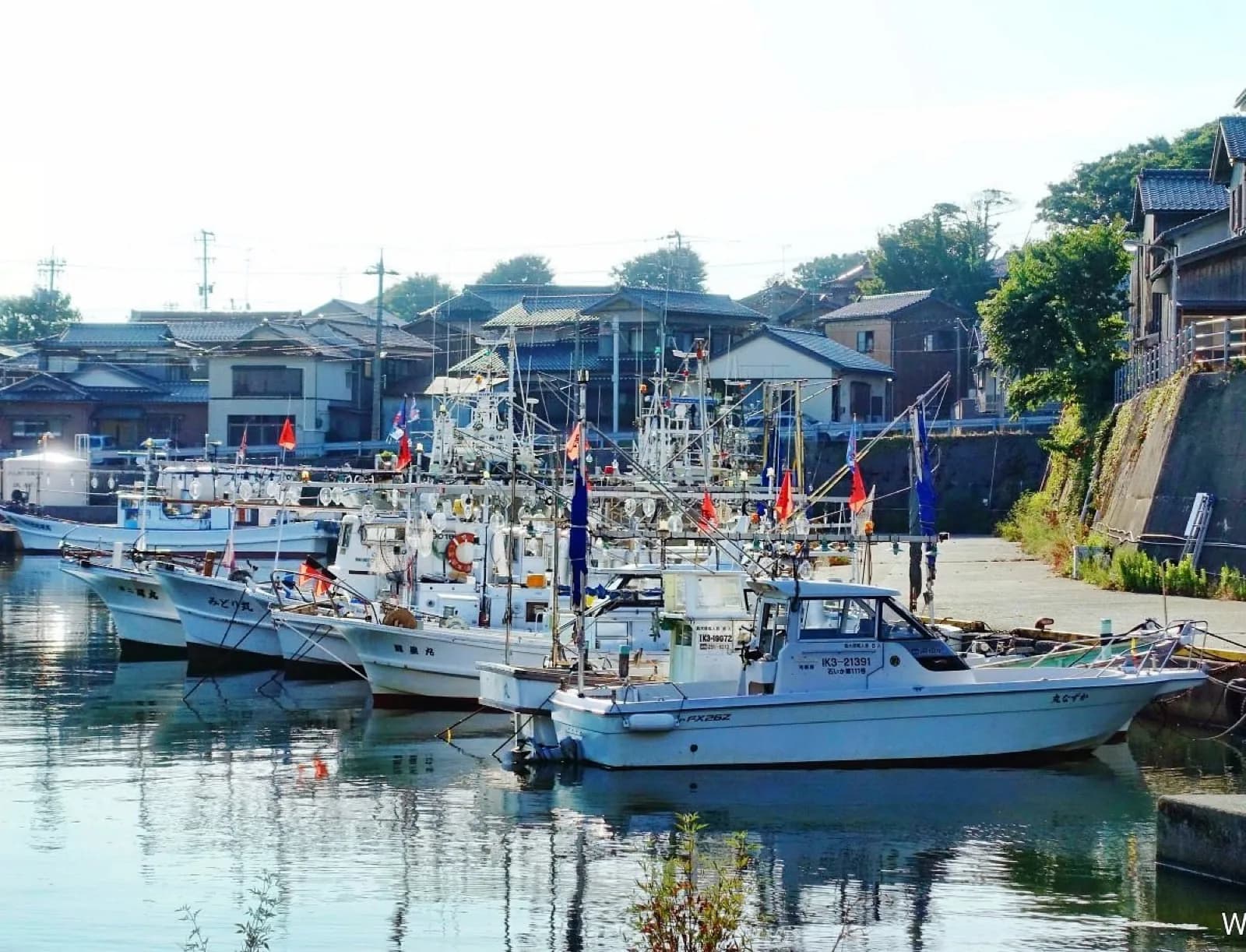 漁船が停泊する橋立漁港